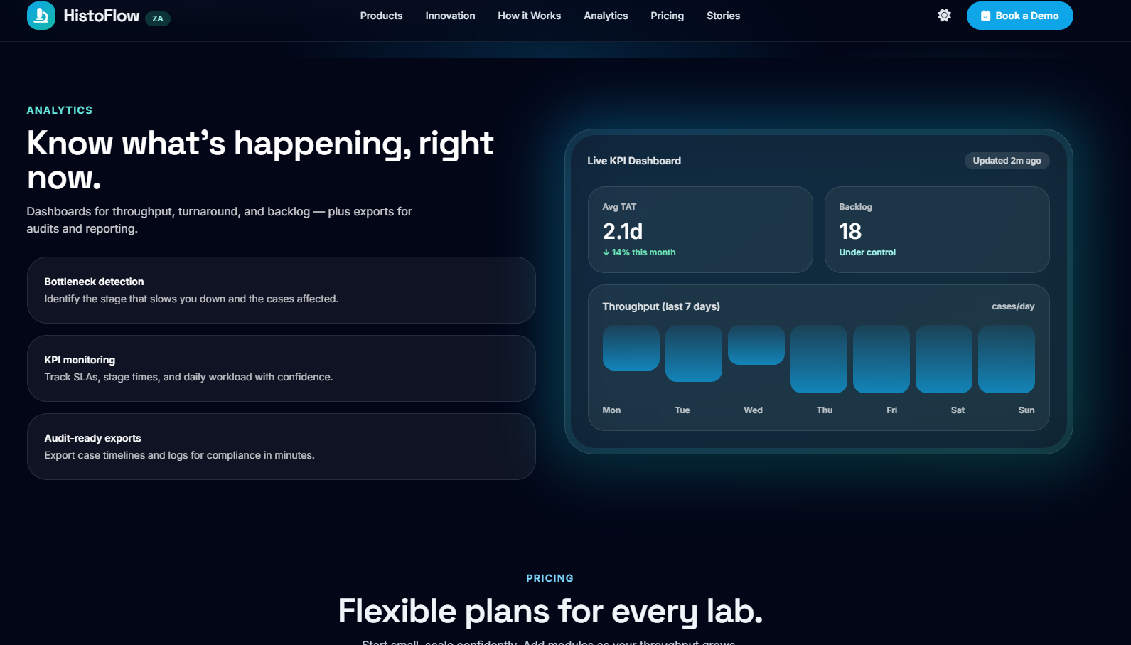 Website 1